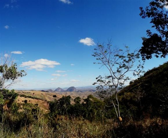 pico abelheiros por paula dias